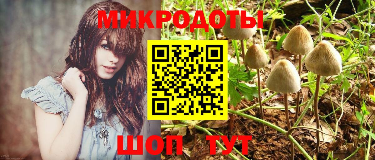 Дедовск  Псилоцибиновые грибы Psilocybe  купить  цена  Вход с VPN  Галлюциногенные грибы Psilocybe 